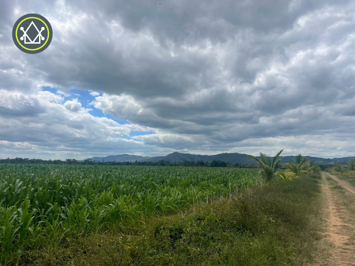 Plot of land For Sale Kendal Ad1000936