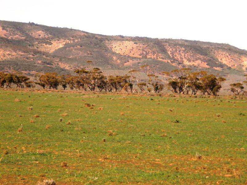 Plot of land For Sale Port Augusta Ad694332