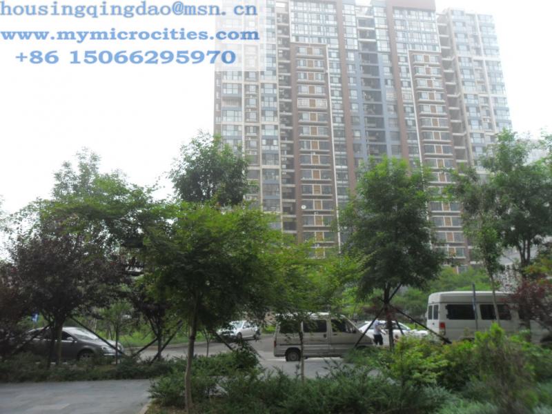 Apartment / Flat Rent Qingdao Ad693007