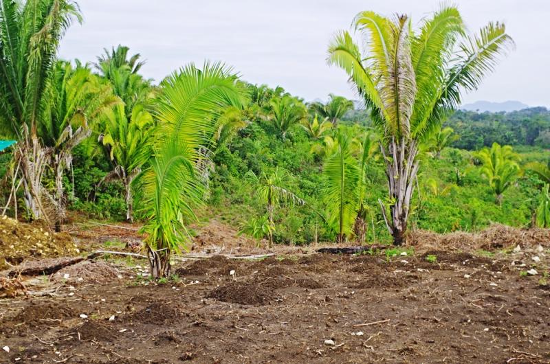 Plot of land For Sale Rio Dulce Ad696352