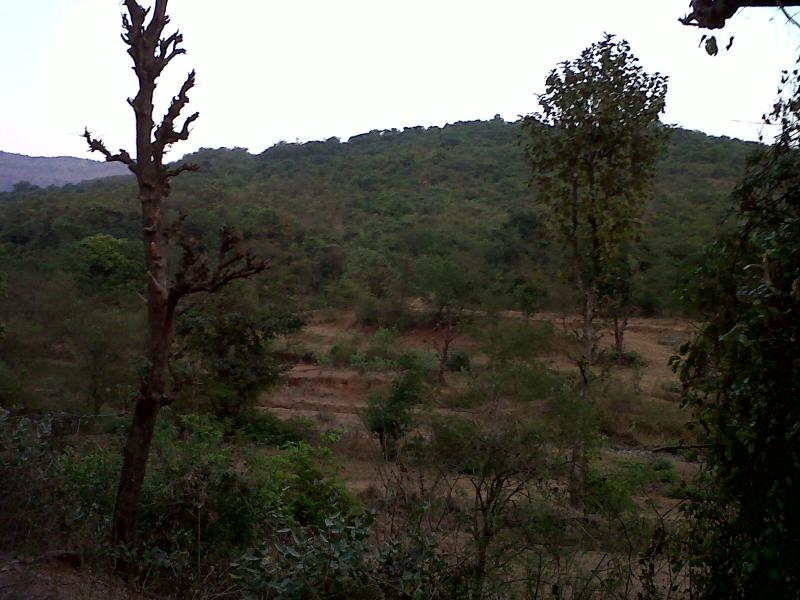 Plot of land For Sale Maharashtra Ad690691