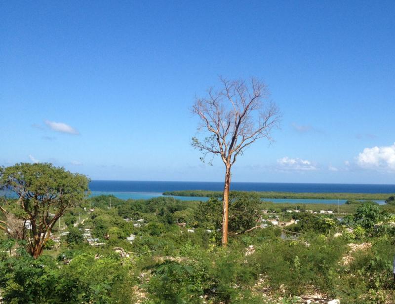 Plot of land For Sale Falmouth Ad727084