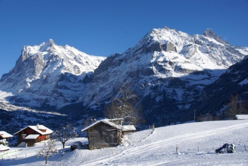 House For Sale Grindelwald Ad724729