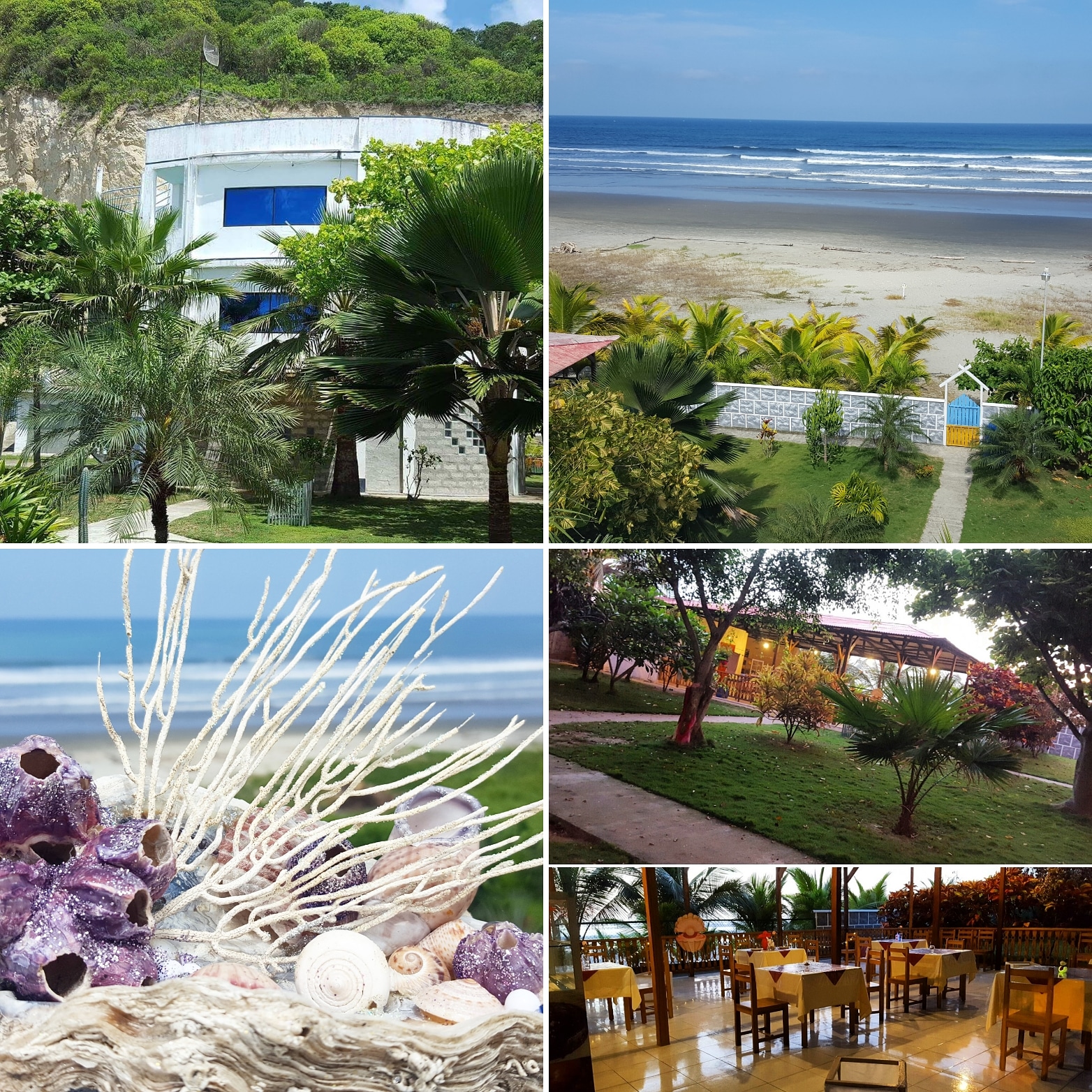 Business For Sale Canoa Ad874362