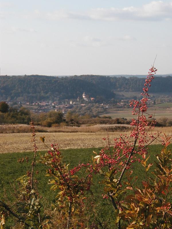 House For Sale Sighisoara Ad745975