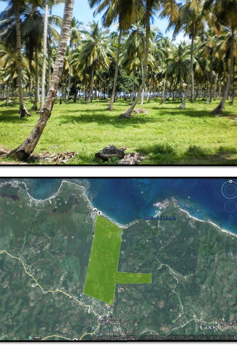 Plot of land For Sale Samana Ad869920