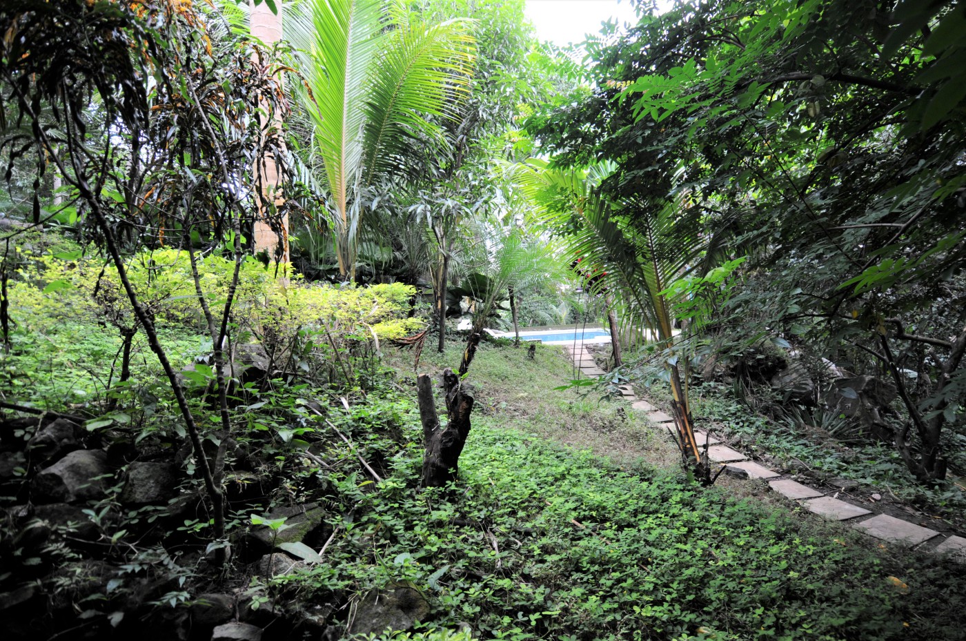 House For Sale Escuintla Ad928588