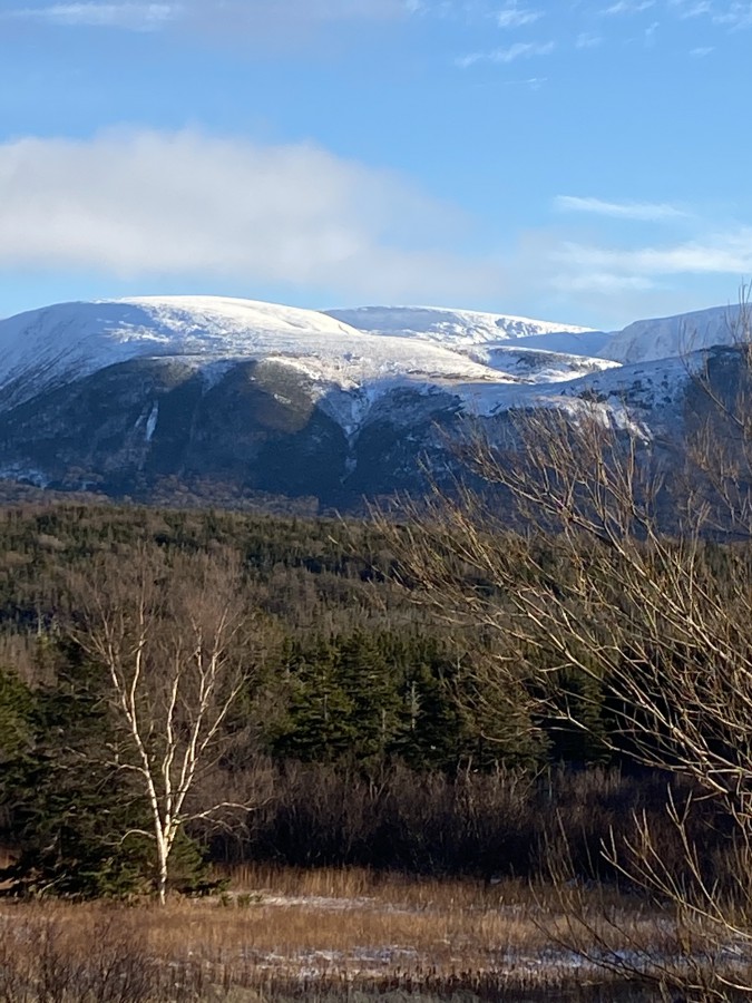 House For Sale Codroy Ad914481