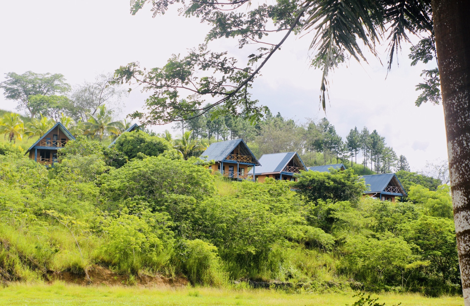 Plot of land For Sale Labasa Ad904708