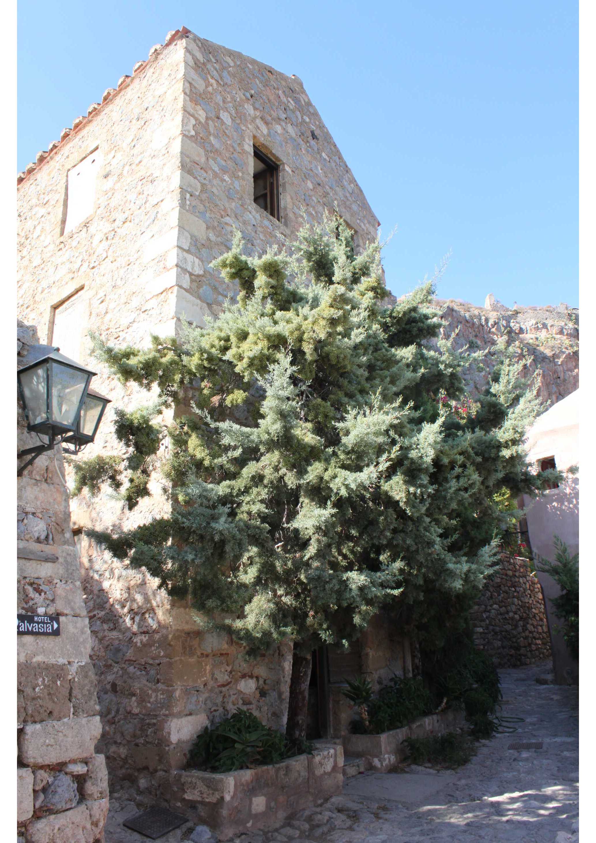 House For Sale Monemvasia Ad916100