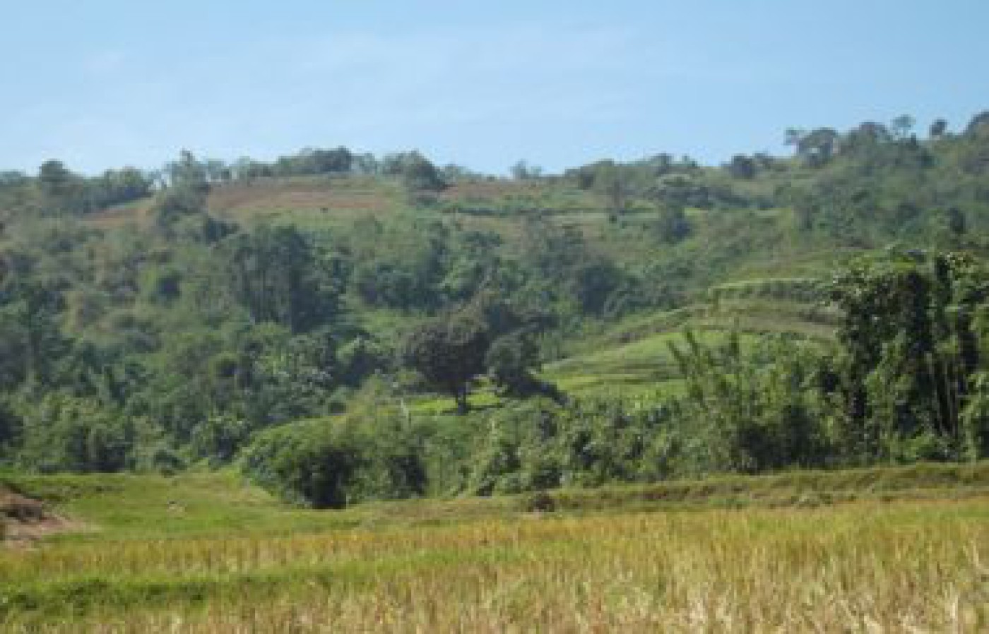 Plot of land For Sale Westmoreland Ad962102