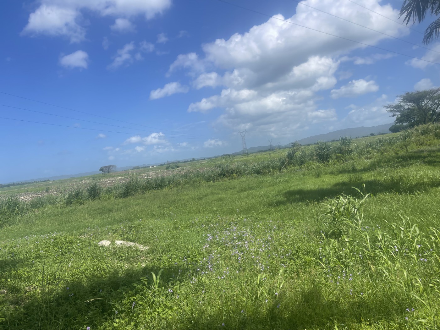 Plot of land For Sale Westmoreland Ad962102