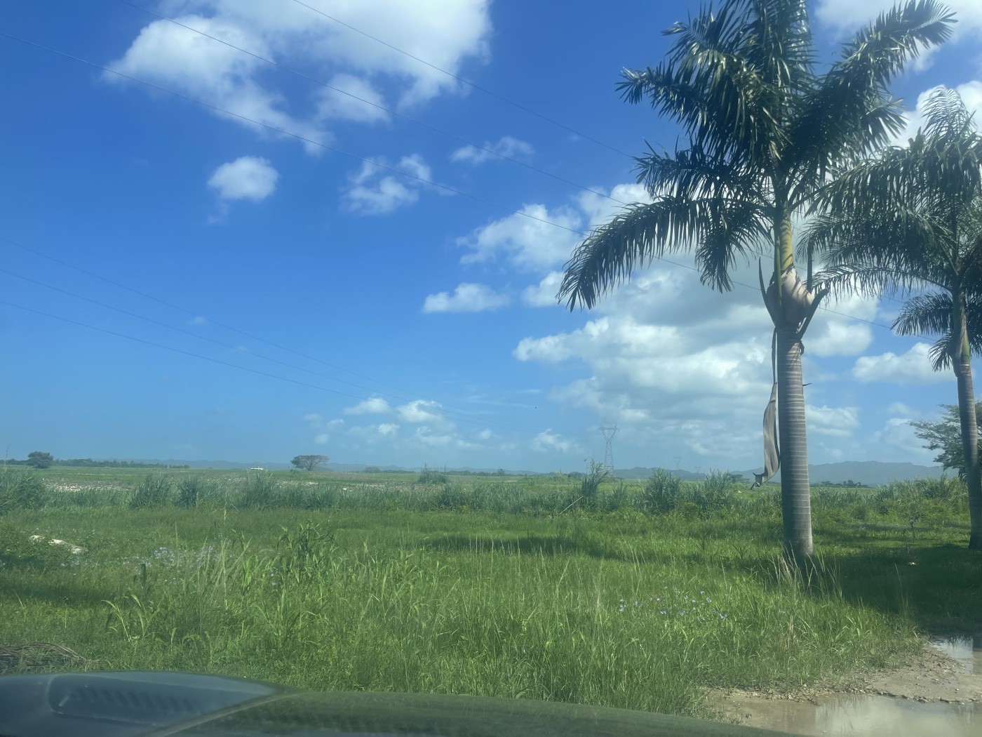 Plot of land For Sale Westmoreland Ad962102