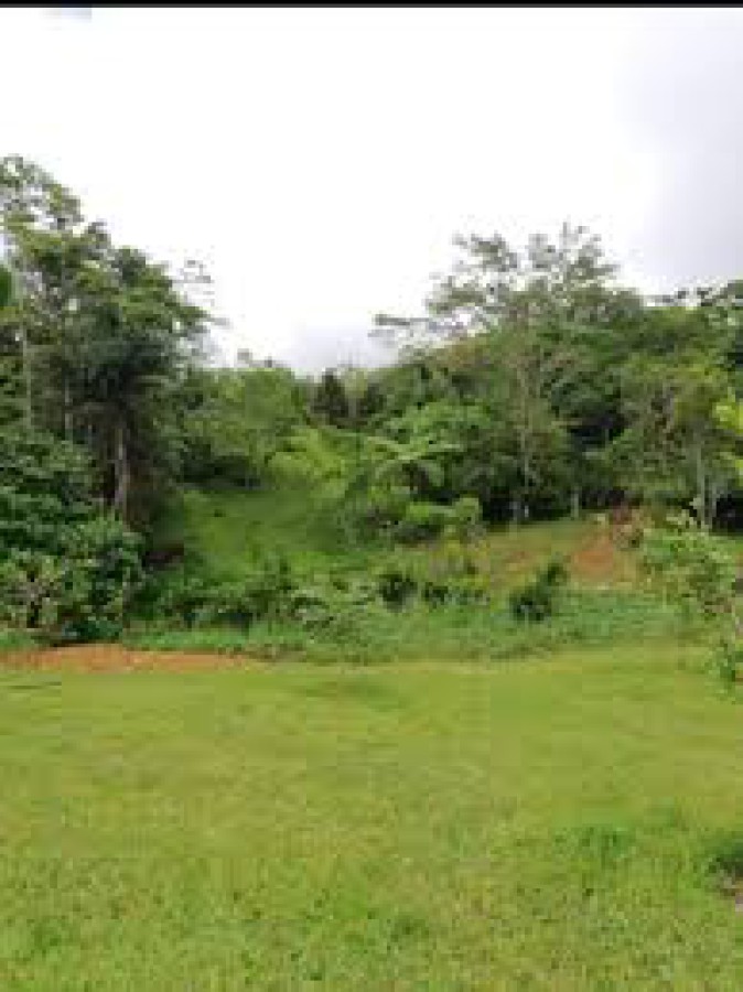 Plot of land For Sale Westmoreland Ad962102
