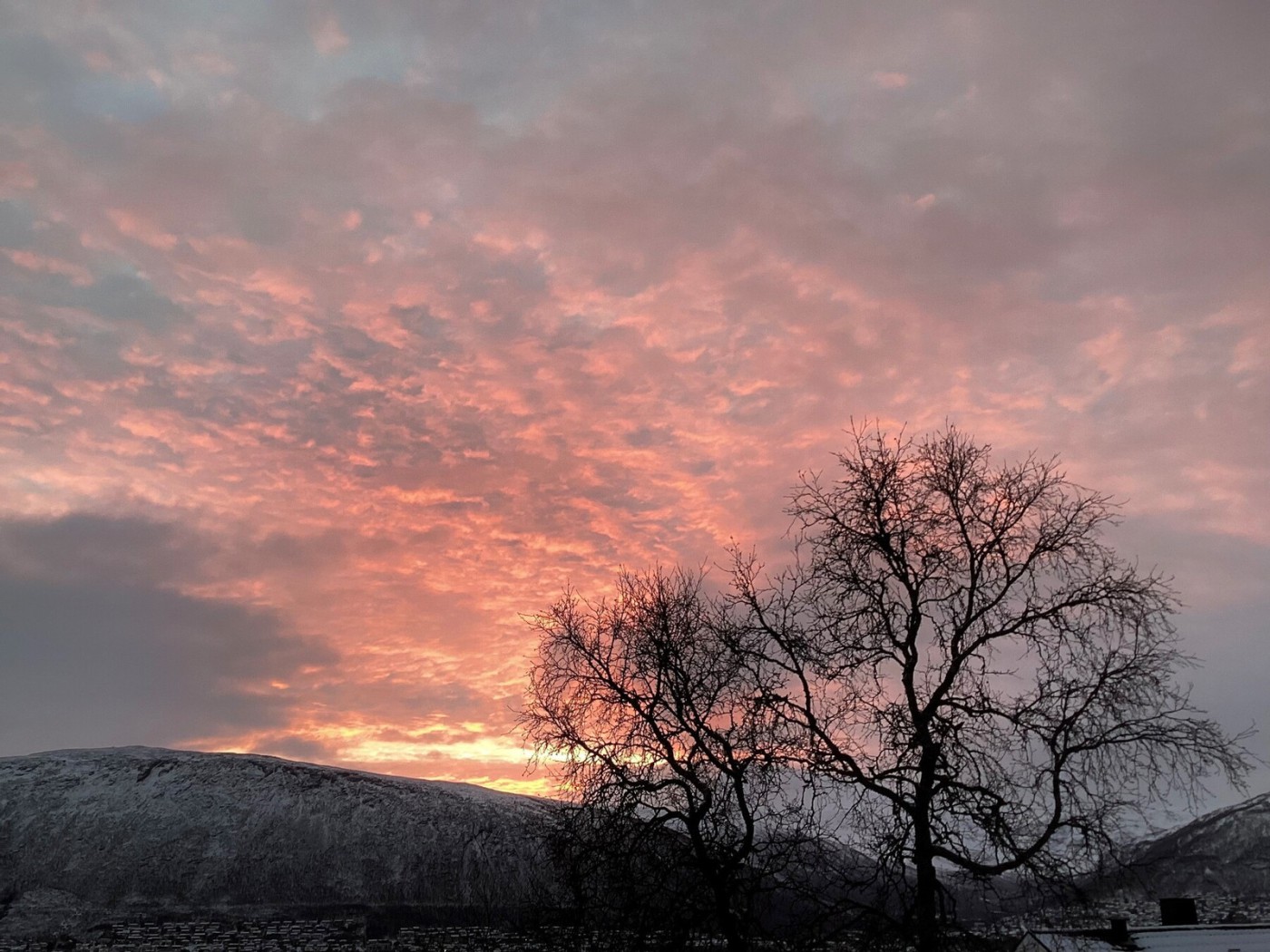 Apartment / Flat For Sale Tromso Ad982490