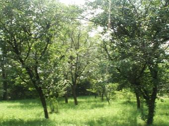 Building land in Romania Prahova