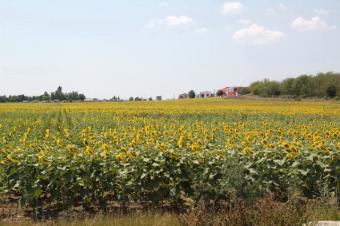 Lands 24000sq/m .VARNA-BULGARIA Varna