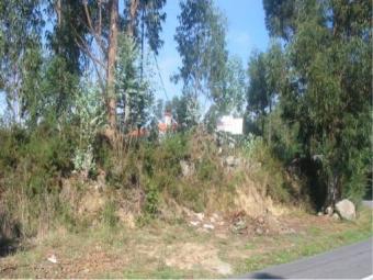 Land In North Of Portugal 1000m2 Sandiaes
