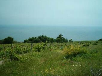 Byala, Bulgaria Byala