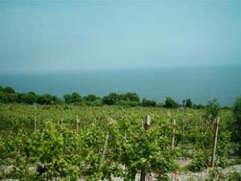 Byala, Bulgaria Byala