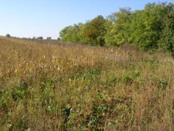 Land for house,warehouse,anythin Trnava