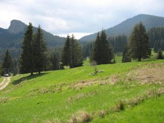 INVEST AND WIN Pamporovo