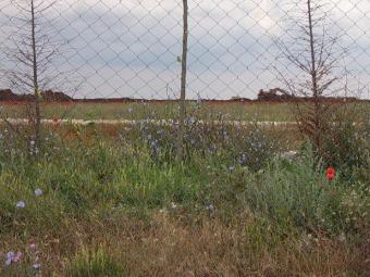 Plot at a comperative good price Varna