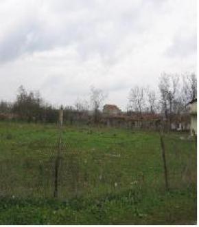 LAND OF DREAMS Kavarna