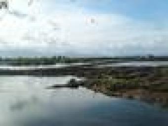 Fishpond+residential for Sale Cebu City