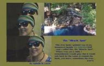 Vacant Lot for rent or lease Talakag Province