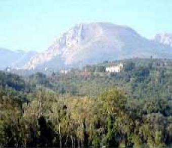 House w/Building Land & Vineyard Benevento