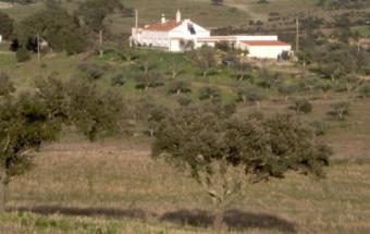 Property in Almovodar (Alentejo) Almodovar