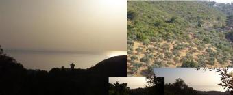 9.984 m2 land with sea view Kusadasi