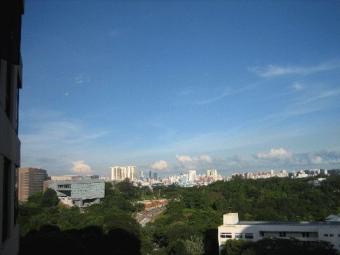 Luxurious Condominium Apt Singapore