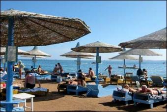 EARN  BIG  COMMISSION Various