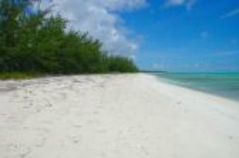 100  feet of  paradise beach Bambarra Beach-middle Caicos