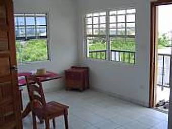 New furnished penthouse condo San Pedro