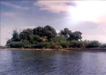 Philippine Island for Sale Pres. Garcia