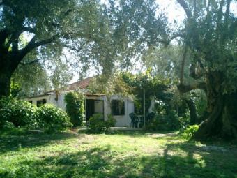 Two houses on 4100sq m land Pelion(pilio)