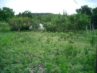 Plot in Varna Varna