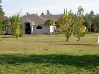 12880 sqft lot in Citrus Springs Citrus Heights