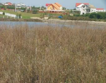 Land for sale north of Bucharest Bucharest