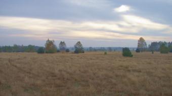 A big land for sale in Poland Warsaw
