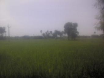LARGE LAND FOR SALE IN  NH-4 Chengalpattu