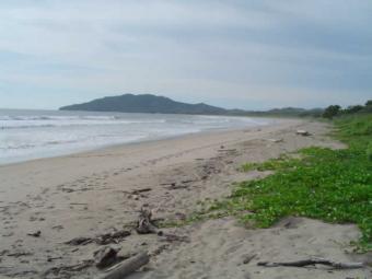 Lot #112 Palm Beach Estates Playa Grande