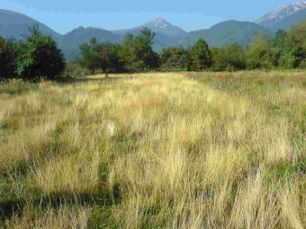 Property in Bansko ski resort Bansko