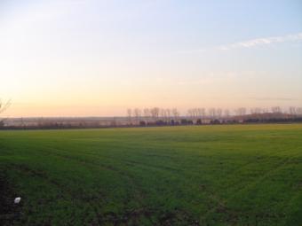 Rich agricultural land fit for m Dobrich