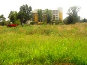 Plots in Sunny Beach Sunny Beach
