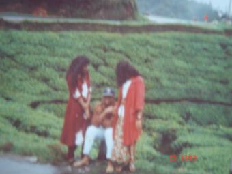 Land for Sale Nuwara Eliya