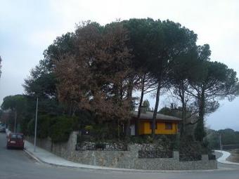 Santa Maria de Palautordera Santa Maria De Palautordera